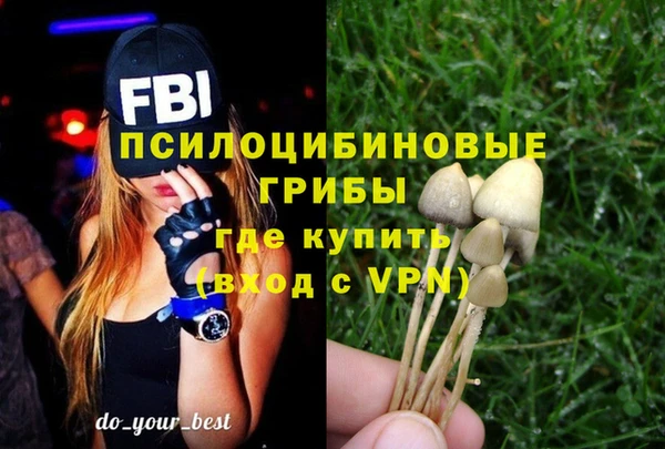 МДПВ Абинск