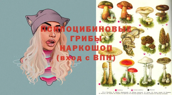героин Абаза