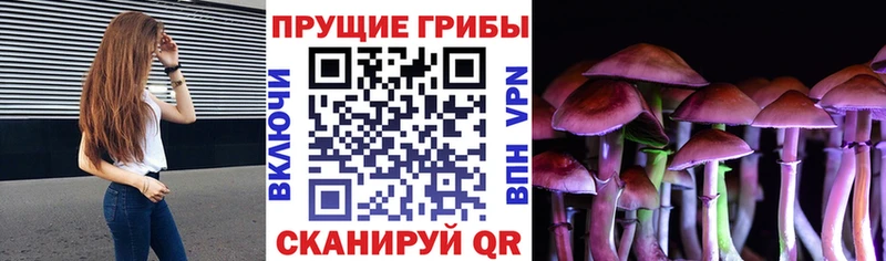 Галлюциногенные грибы Cubensis  Дмитровск 