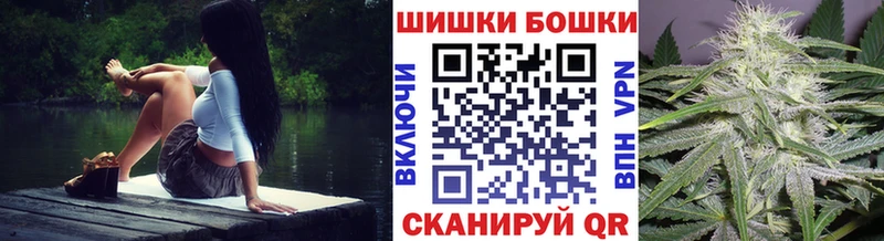 Бошки Шишки семена  blacksprut ссылка  Дмитровск 